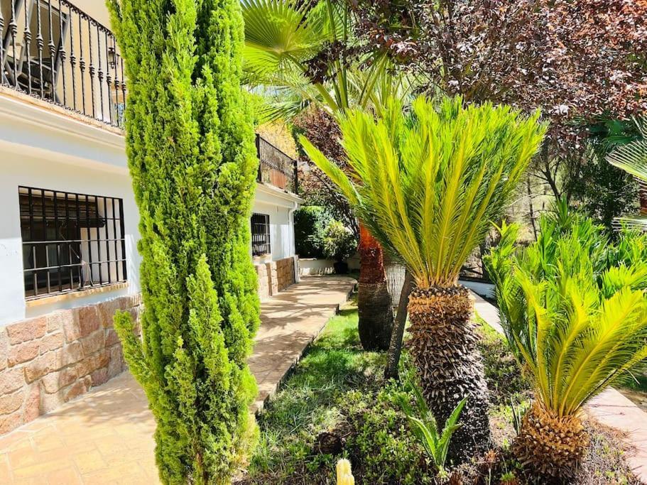 Villa Aljaral, Espectacular,Piscina,Chimenea, Climatizacion, Wifi Córdoba Eksteriør bilde