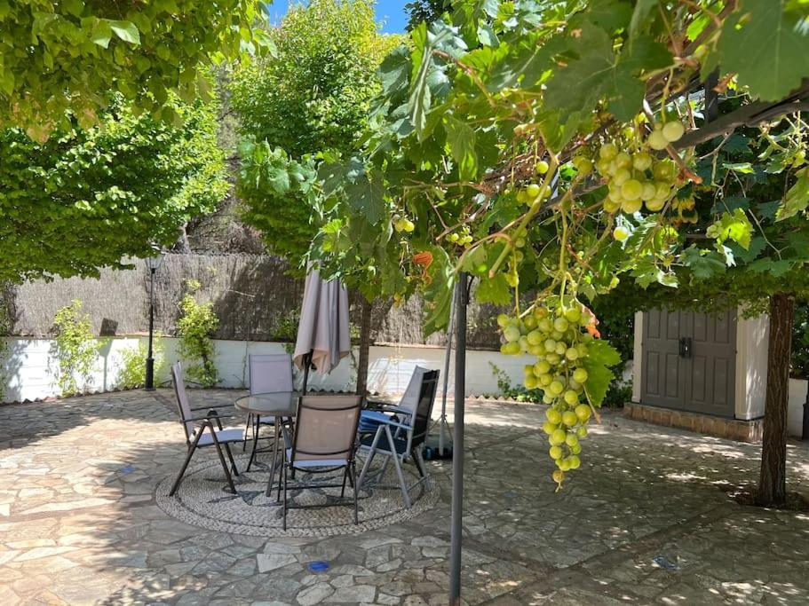 Villa Aljaral, Espectacular,Piscina,Chimenea, Climatizacion, Wifi Córdoba Eksteriør bilde