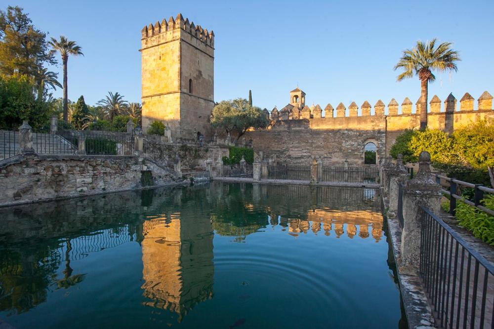 Villa Aljaral, Espectacular,Piscina,Chimenea, Climatizacion, Wifi Córdoba Eksteriør bilde