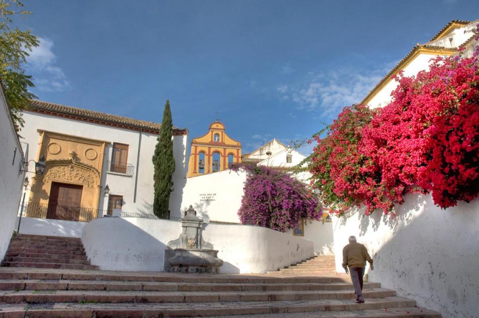Villa Aljaral, Espectacular,Piscina,Chimenea, Climatizacion, Wifi Córdoba Eksteriør bilde